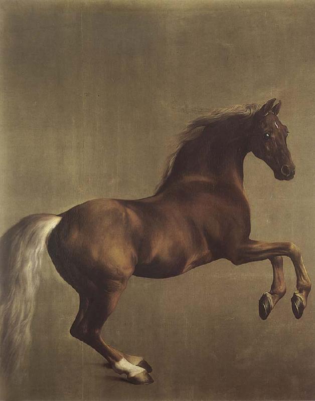 George Stubbs Whistlejacket